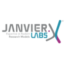LOGO I Cabinet de recrutement Linman & Associés